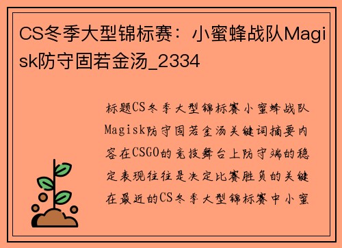 CS冬季大型锦标赛：小蜜蜂战队Magisk防守固若金汤_2334